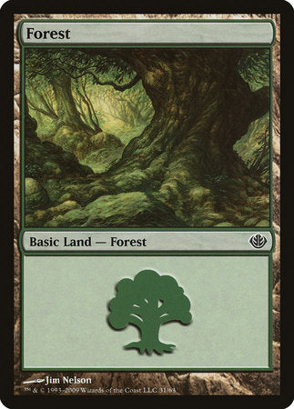 Forest (31) [Duel Decks: Garruk vs. Liliana] | Jomio and Rueliete's Cards and Comics