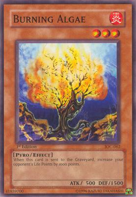 Burning Algae [IOC-062] Common | Jomio and Rueliete's Cards and Comics