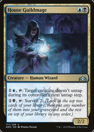 House Guildmage [Guilds of Ravnica] | Jomio and Rueliete's Cards and Comics