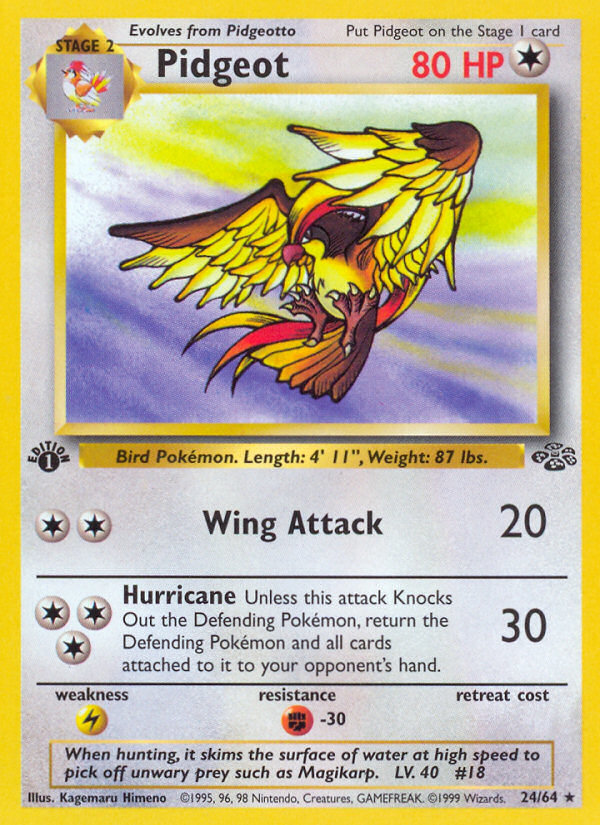 Pidgeot (24/64) [Jungle 1st Edition] | Jomio and Rueliete's Cards and Comics