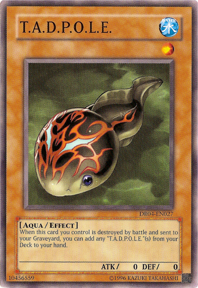 T.A.D.P.O.L.E. [DR04-EN027] Common | Jomio and Rueliete's Cards and Comics