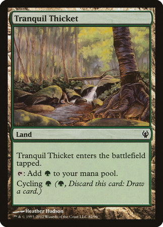 Tranquil Thicket [Duel Decks: Izzet vs. Golgari] | Jomio and Rueliete's Cards and Comics