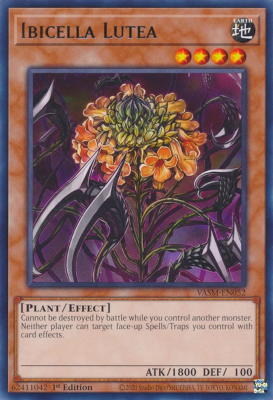 Ibicella Lutea [VASM-EN052] Rare | Jomio and Rueliete's Cards and Comics