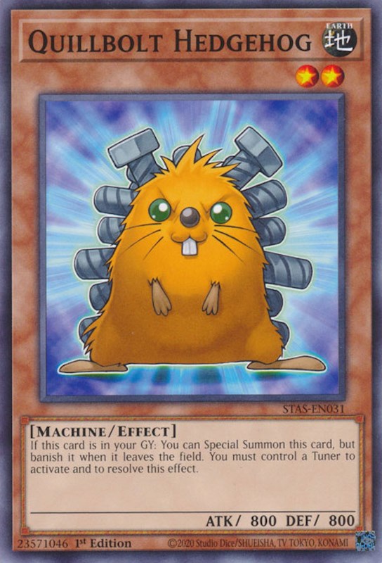 Quillbolt Hedgehog [STAS-EN031] Common | Jomio and Rueliete's Cards and Comics