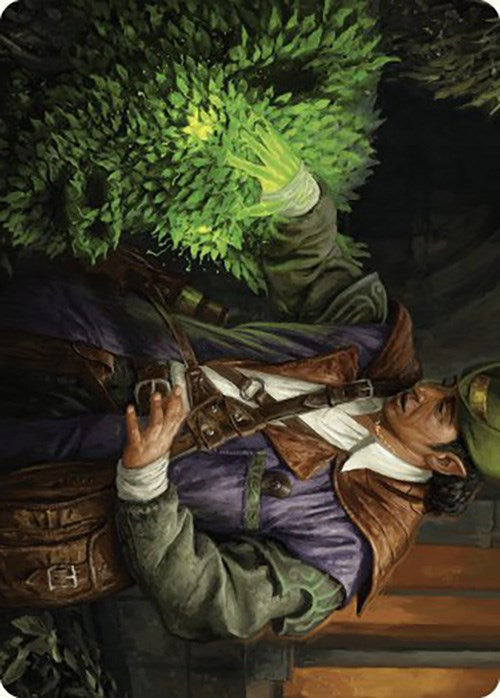 Hedge Whisperer Art Card [Murders at Karlov Manor Art Series] | Jomio and Rueliete's Cards and Comics