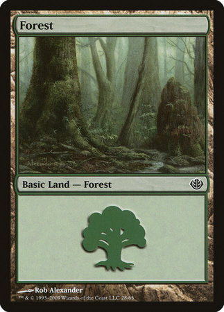 Forest (28) [Duel Decks: Garruk vs. Liliana] | Jomio and Rueliete's Cards and Comics