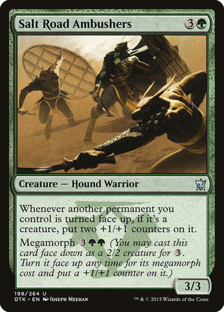 Salt Road Ambushers [Dragons of Tarkir] | Jomio and Rueliete's Cards and Comics