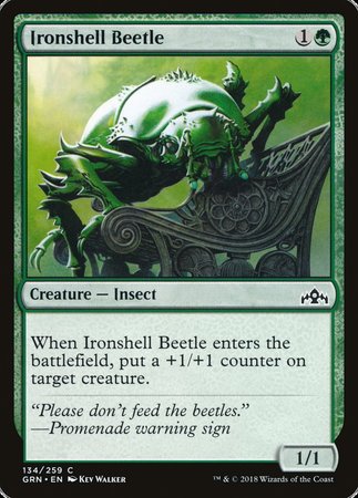 Ironshell Beetle [Guilds of Ravnica] | Jomio and Rueliete's Cards and Comics