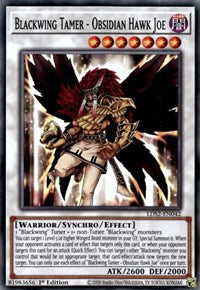 Blackwing Tamer - Obsidian Hawk Joe [LDS2-EN042] Common | Jomio and Rueliete's Cards and Comics