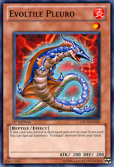 Evoltile Pleuro [ORCS-EN025] Common | Jomio and Rueliete's Cards and Comics