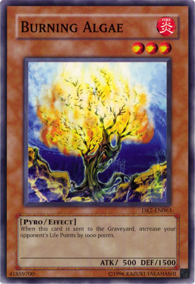 Burning Algae [DR2-EN063] Common | Jomio and Rueliete's Cards and Comics