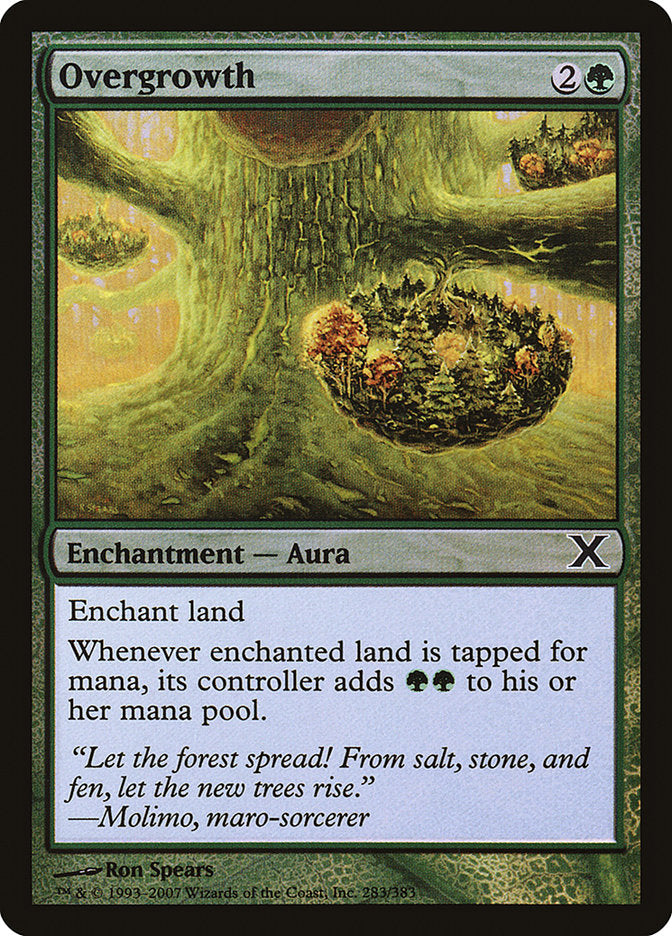 Overgrowth (Premium Foil) [Tenth Edition] | Jomio and Rueliete's Cards and Comics