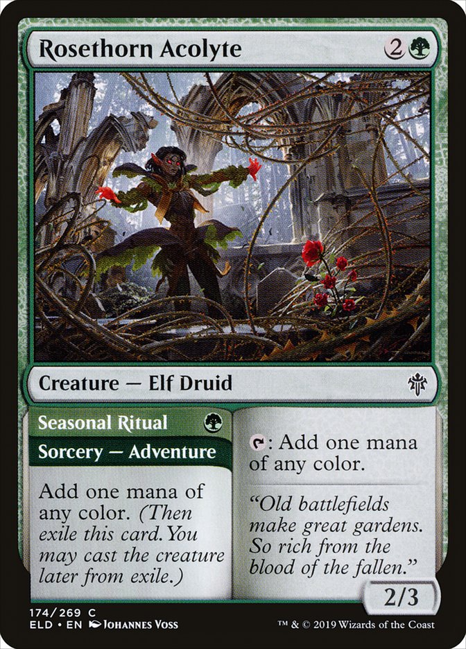 Rosethorn Acolyte // Seasonal Ritual [Throne of Eldraine] | Jomio and Rueliete's Cards and Comics