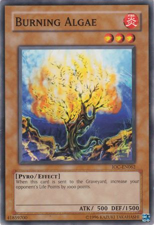 Burning Algae [IOC-EN062] Common | Jomio and Rueliete's Cards and Comics
