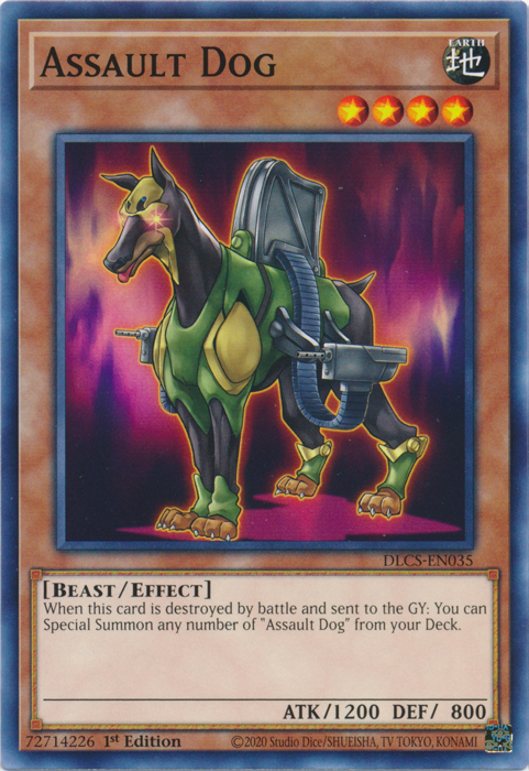 Assault Dog [DLCS-EN035] Common | Jomio and Rueliete's Cards and Comics