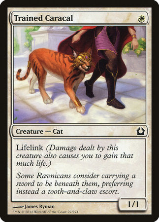 Trained Caracal [Return to Ravnica] | Jomio and Rueliete's Cards and Comics