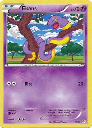 Ekans (16/30) [XY: Trainer Kit - Noivern] | Jomio and Rueliete's Cards and Comics