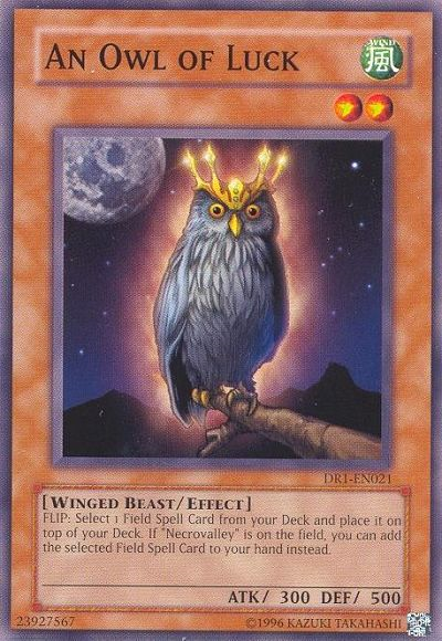 An Owl of Luck [DR1-EN021] Common | Jomio and Rueliete's Cards and Comics