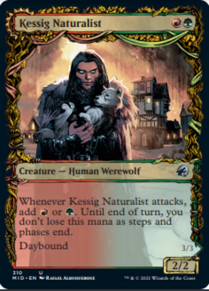 Kessig Naturalist // Lord of the Ulvenwald (Showcase Equinox) [Innistrad: Midnight Hunt] | Jomio and Rueliete's Cards and Comics