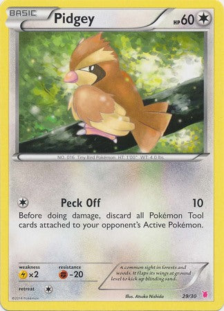 Pidgey (29/30) [XY: Trainer Kit 1 - Wigglytuff] | Jomio and Rueliete's Cards and Comics
