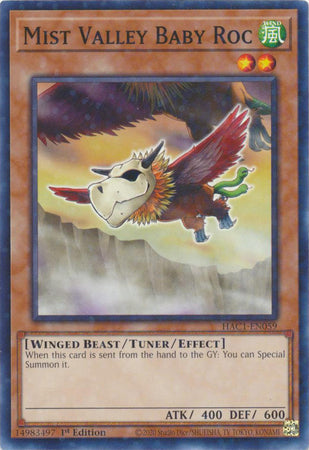 Mist Valley Baby Roc (Duel Terminal) [HAC1-EN059] Common | Jomio and Rueliete's Cards and Comics