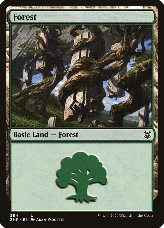 Forest (384) [Zendikar Rising] | Jomio and Rueliete's Cards and Comics