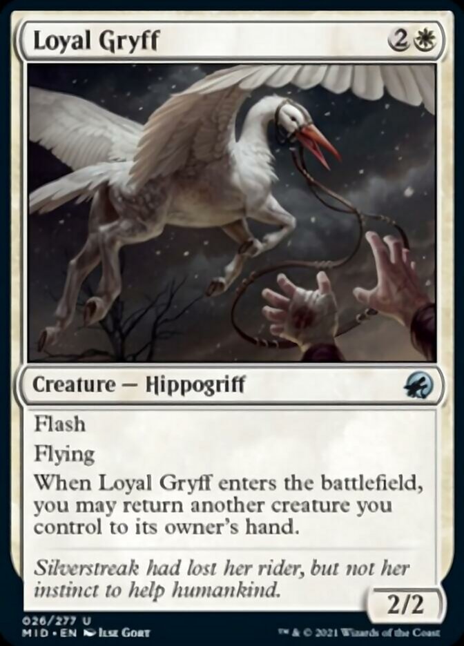 Loyal Gryff [Innistrad: Midnight Hunt] | Jomio and Rueliete's Cards and Comics