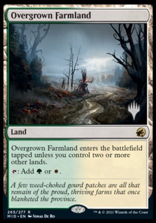 Overgrown Farmland (Promo Pack) [Innistrad: Midnight Hunt Promos] | Jomio and Rueliete's Cards and Comics