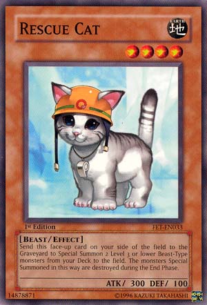 Rescue Cat [FET-EN033] Common | Jomio and Rueliete's Cards and Comics