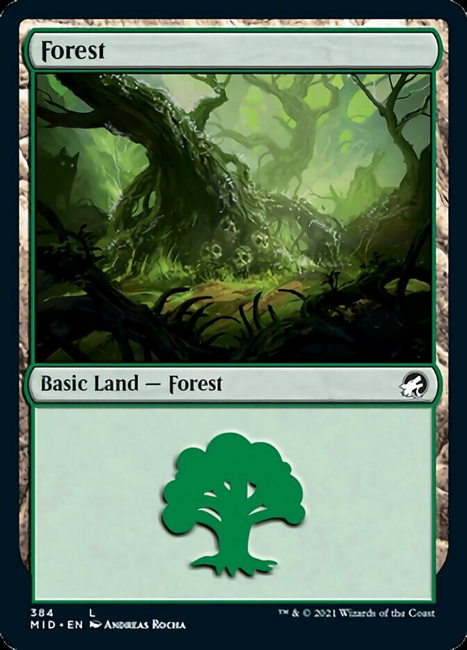 Forest (384) [Innistrad: Midnight Hunt] | Jomio and Rueliete's Cards and Comics