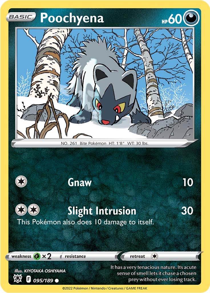 Poochyena (095/189) [Sword & Shield: Astral Radiance] | Jomio and Rueliete's Cards and Comics