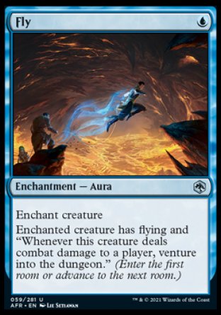 Fly [Dungeons & Dragons: Adventures in the Forgotten Realms] | Jomio and Rueliete's Cards and Comics