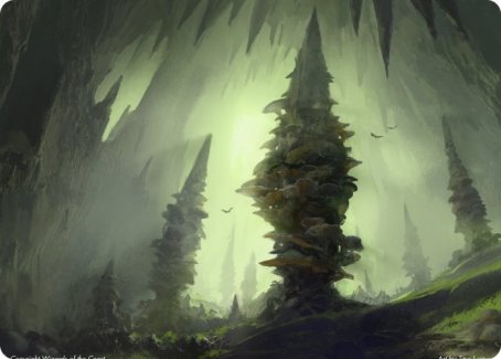 Forest (280) Art Card [Dungeons & Dragons: Adventures in the Forgotten Realms Art Series] | Jomio and Rueliete's Cards and Comics