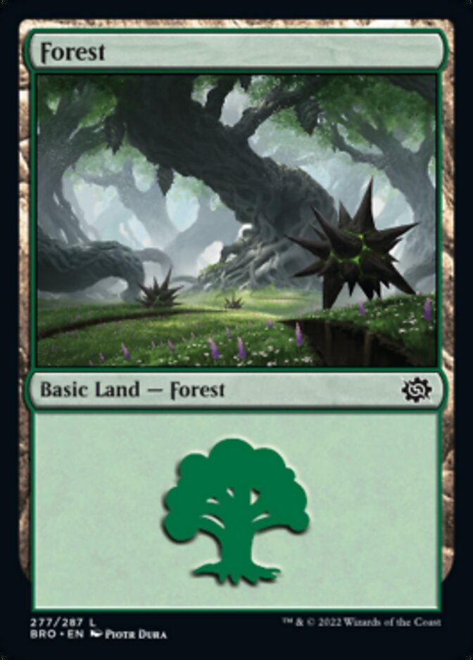 Forest (277) [The Brothers' War] | Jomio and Rueliete's Cards and Comics