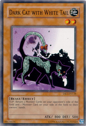 Dark Cat with White Tail [DR1-EN138] Common | Jomio and Rueliete's Cards and Comics
