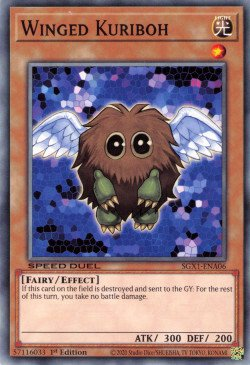 Winged Kuriboh [SGX1-ENA06] Common | Jomio and Rueliete's Cards and Comics