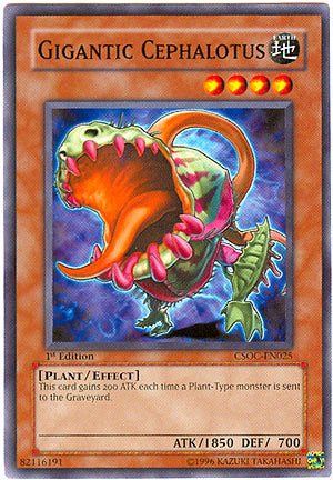 Gigantic Cephalotus [CSOC-EN025] Common | Jomio and Rueliete's Cards and Comics