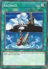 Salvage [SDFC-EN032] Common | Jomio and Rueliete's Cards and Comics