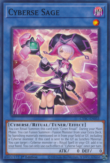 Cyberse Sage [CYAC-EN033] Common | Jomio and Rueliete's Cards and Comics