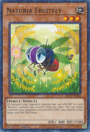 Naturia Fruitfly (Duel Terminal) [HAC1-EN106] Common | Jomio and Rueliete's Cards and Comics