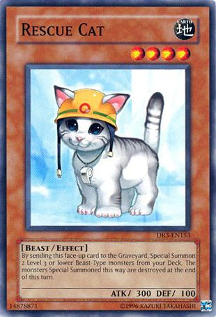 Rescue Cat [DR3-EN153] Common | Jomio and Rueliete's Cards and Comics