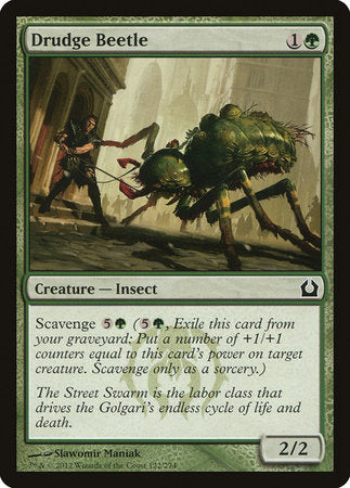Drudge Beetle [Return to Ravnica] | Jomio and Rueliete's Cards and Comics