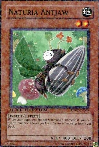 Naturia Antjaw [DT02-EN069] Common | Jomio and Rueliete's Cards and Comics