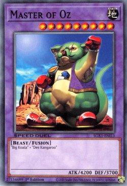 Master of Oz [SGX1-ENI13] Common | Jomio and Rueliete's Cards and Comics