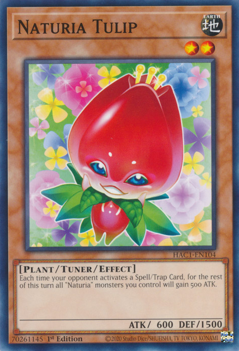 Naturia Tulip [HAC1-EN104] Common | Jomio and Rueliete's Cards and Comics